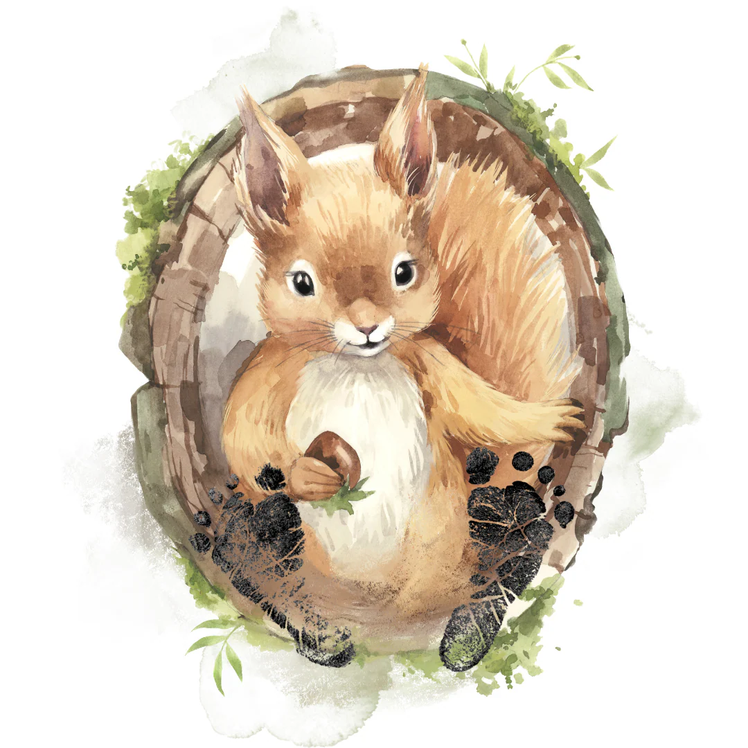 Kit empreintes bébé écureuil