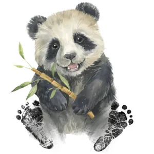 Kit empreintes bébé panda