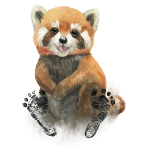 Kit empreintes bébé panda roux