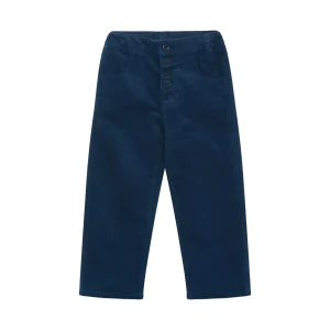 Pantalon Erodium navy